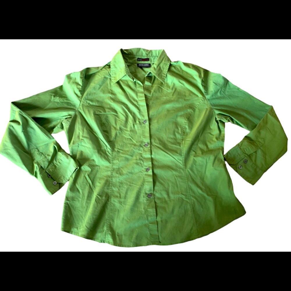 Pleated, long sleeve, collared, button up blouse